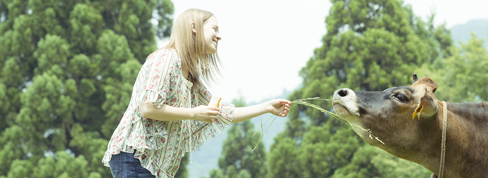 福井から全国へ出張カメラマン｜AURACROSS Photo Direction